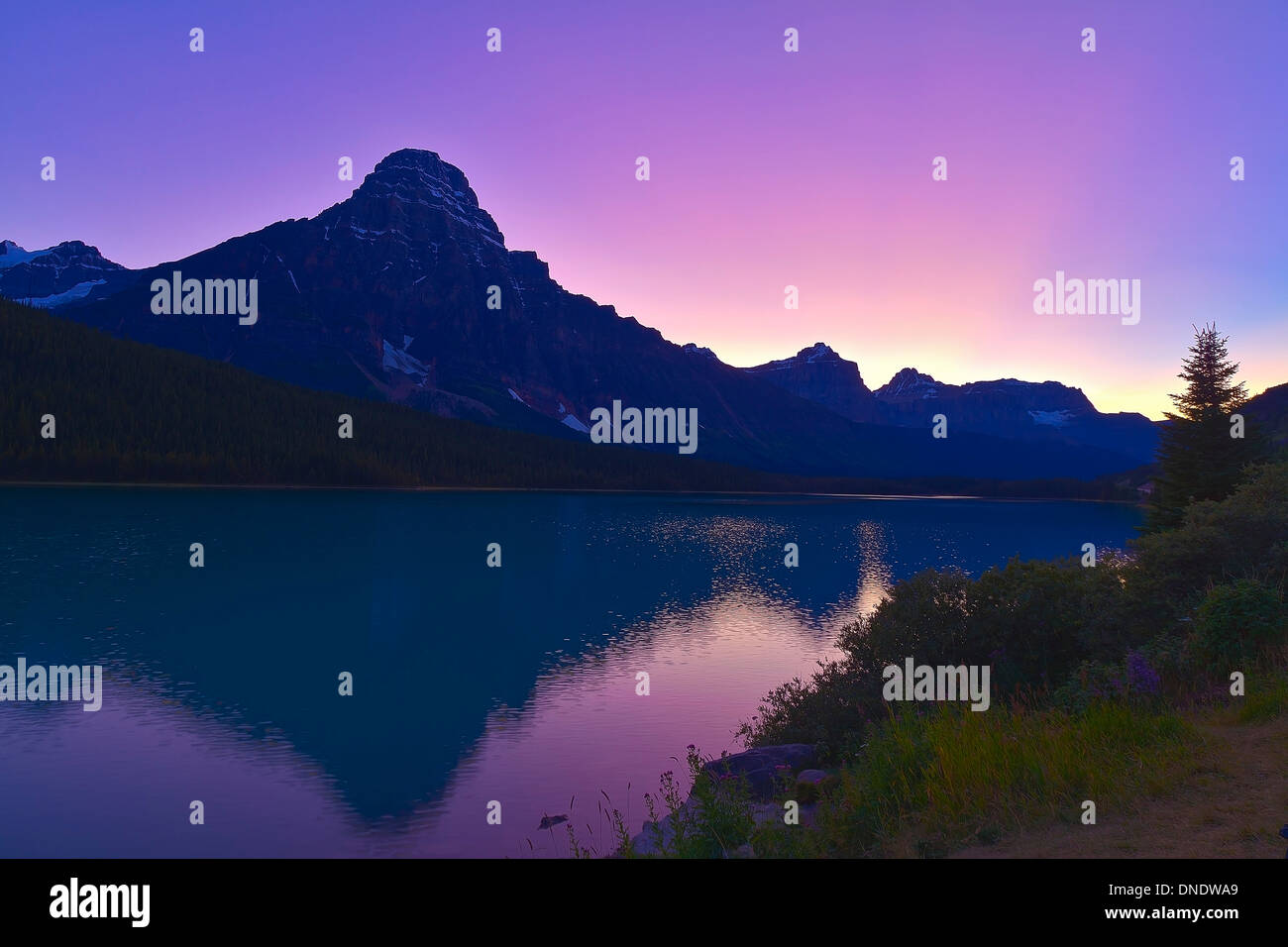 4 settembre 2011 - Twilight a Mt. Chephren, uccelli acquatici laghi, il Parco Nazionale di Banff, Alberta, Canada. Foto Stock