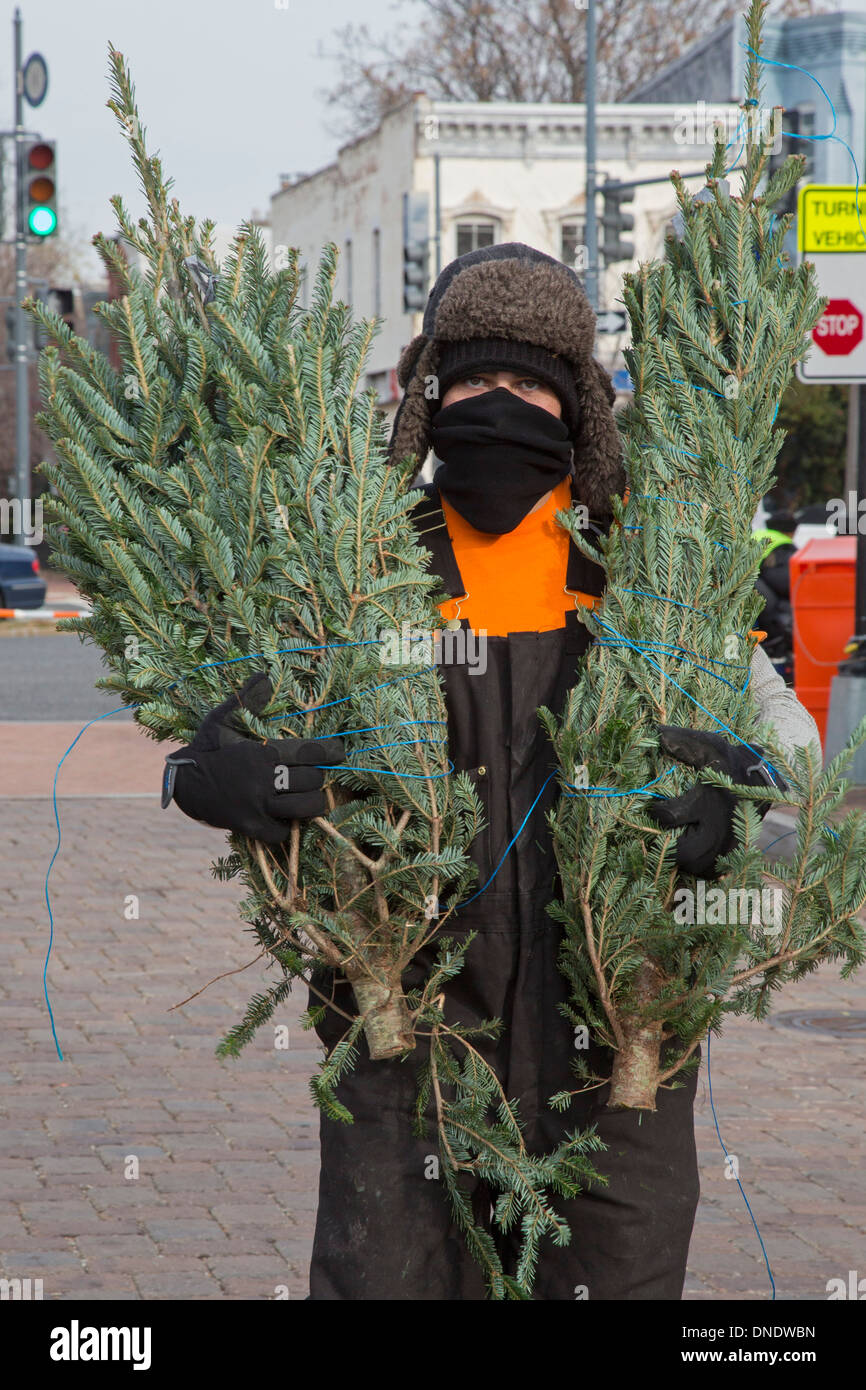 Albero di Natale il venditore a Washington il Mercato Orientale Foto Stock