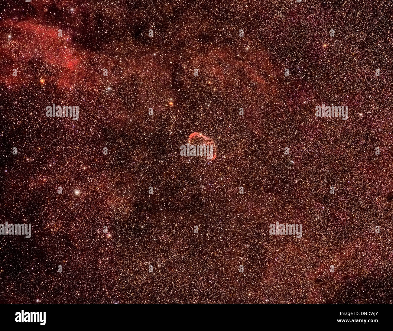 Il Crescent Nebula, noto anche come NGC 6888, è una nebulosa a emissione nella costellazione del Cigno. Foto Stock