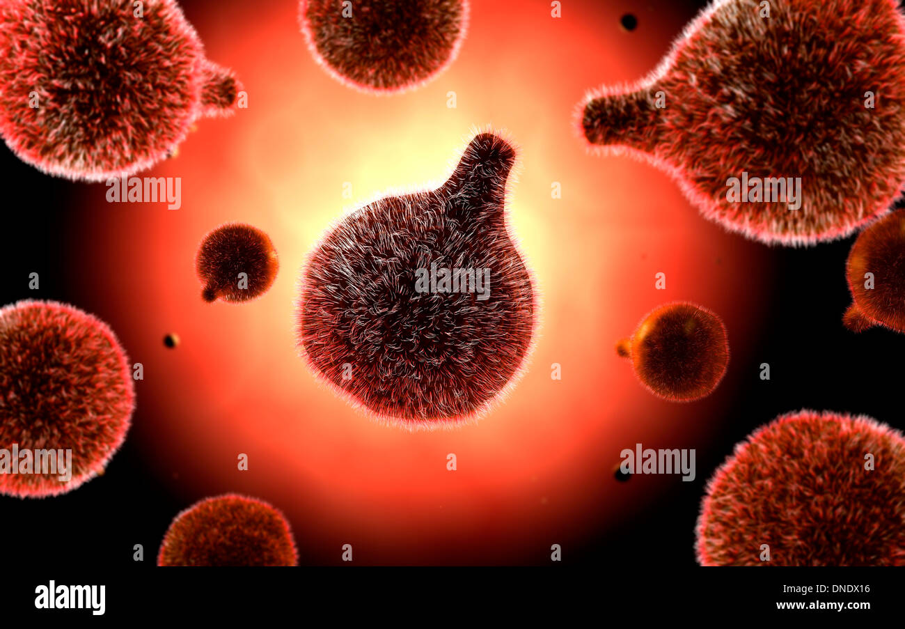 Immagine concettuale di plasmodium causando la malaria. Foto Stock