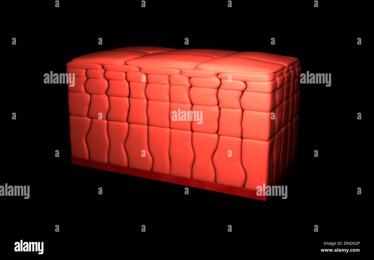Immagine concettuale di epitelio squamoso stratificato. Foto Stock