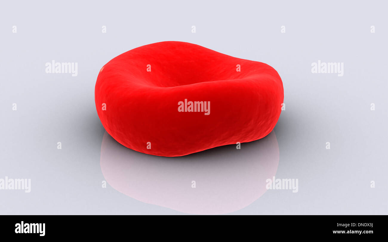 Immagine concettuale di un globulo rosso. Foto Stock