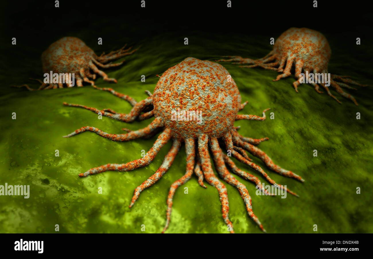 Vista microscopico di cancro virus. Foto Stock