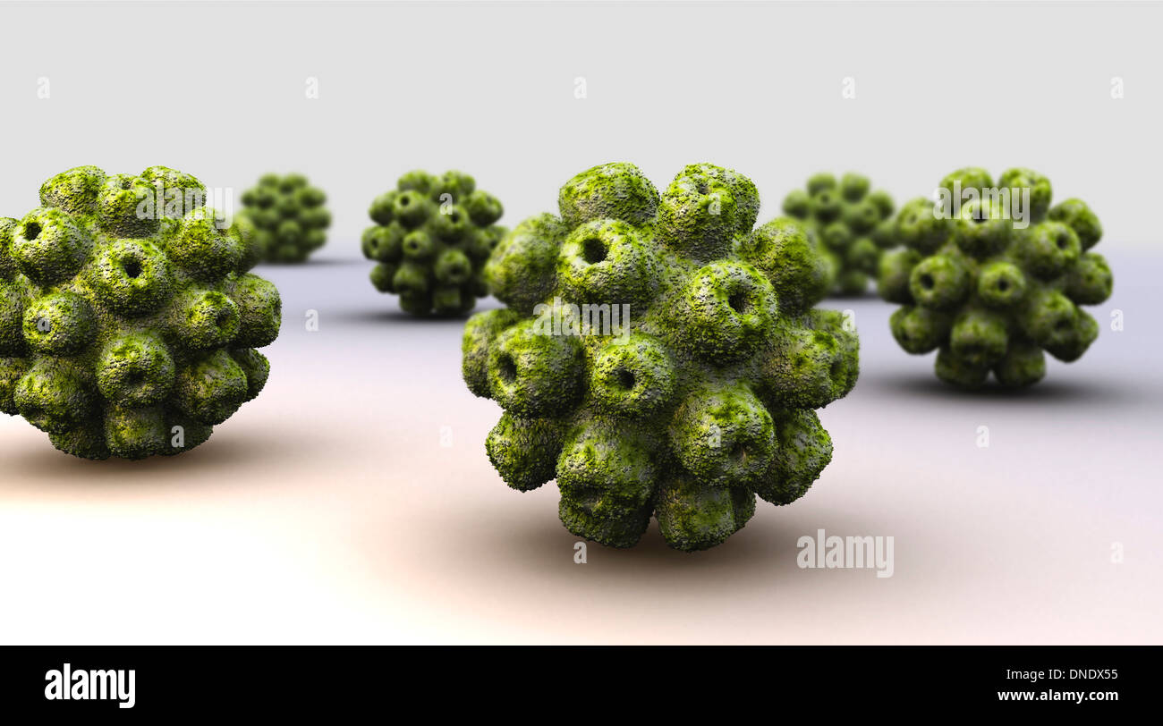 Immagine concettuale di poliomavirus. Foto Stock