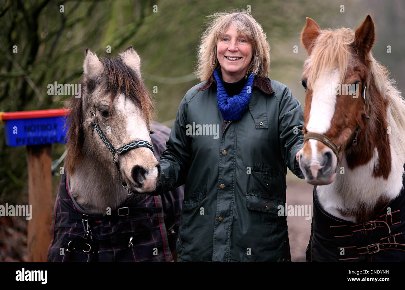 Norderbrarup, Germania. Xviii Dicembre, 2013. Petra Teegen, iniziatore della Germania primo cavallo hatch pone con i cavalli Beachboy' (L) e 'Pirat' all'ingresso del cavallo di hatch in Norderbrarup, Germania, 18 dicembre 2013. Proprietari di cavalli possono lasciare i loro animali in forma anonima a cavallo di emergenza box. Foto: Axel Heimken/dpa/Alamy Live News Foto Stock