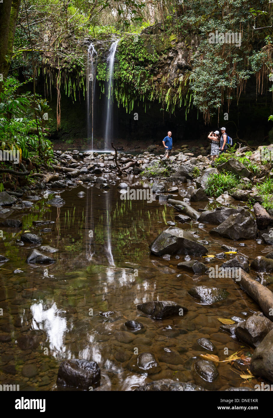 La bella e magica Twin Falls lungo la strada di Hana in Maui. Foto Stock