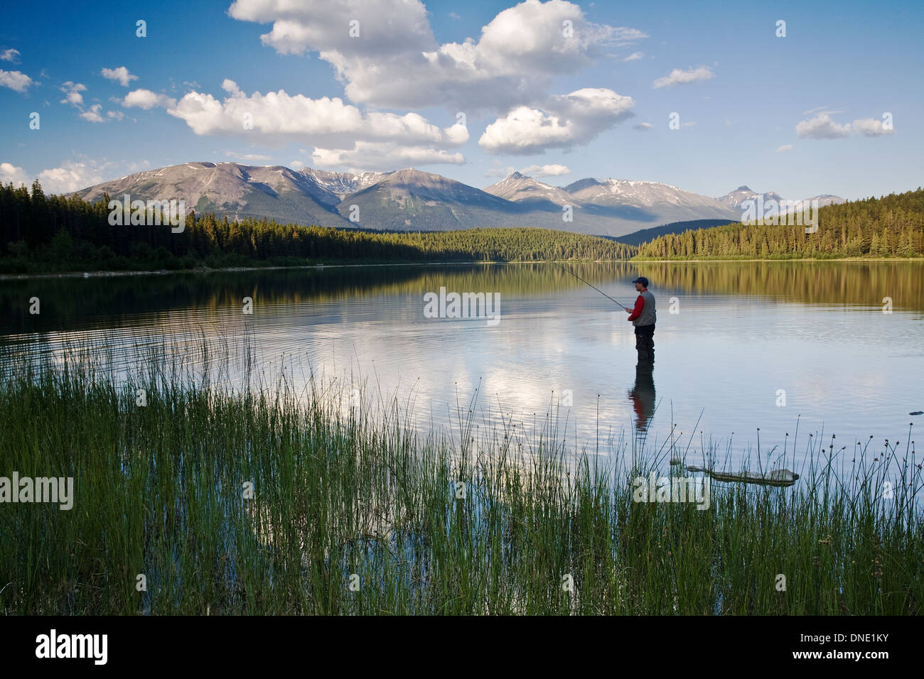 Medio di sesso maschile di età compresa la pesca con la mosca in Patricia Lake, il Parco Nazionale di Jasper, Alberta, Canada. Foto Stock