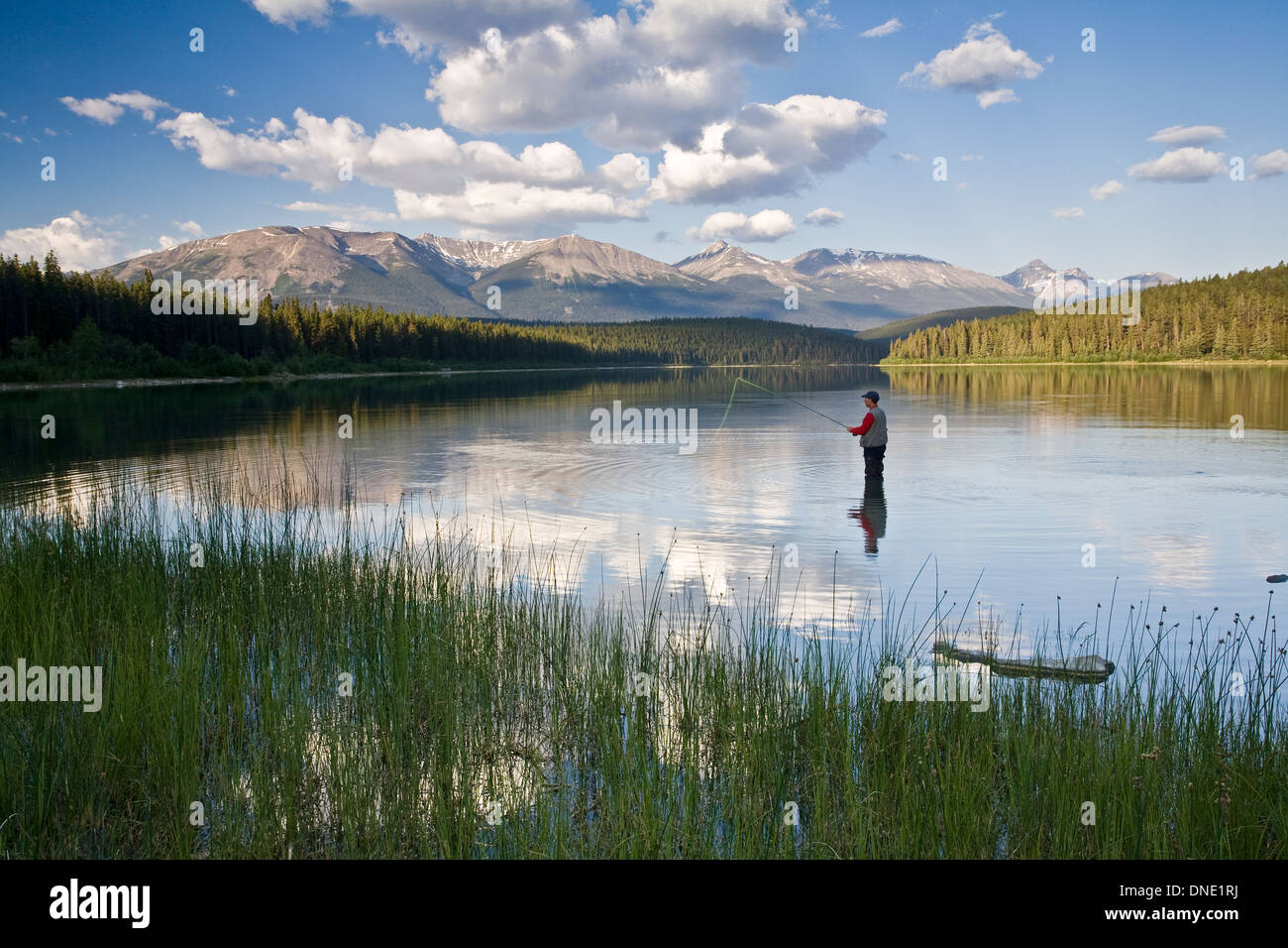 Medio di sesso maschile di età compresa la pesca con la mosca in Patricia Lake, il Parco Nazionale di Jasper, Alberta, Canada. Foto Stock