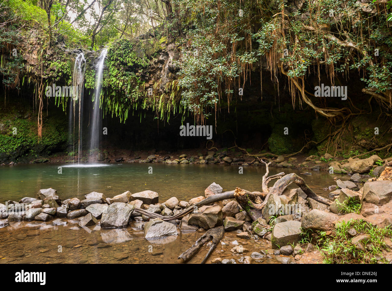 La bella e magica Twin Falls lungo la strada di Hana in Maui. Foto Stock