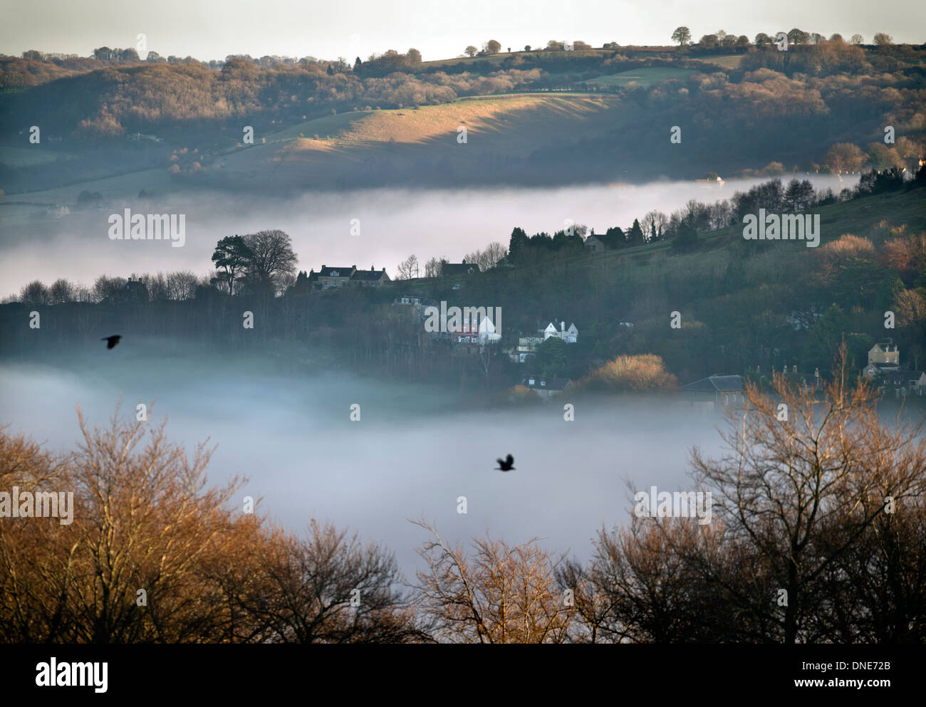 Foschia mattutina in Stroud Valle, Gloucestershire vicino Rodborough Common Dec 2013 Foto Stock