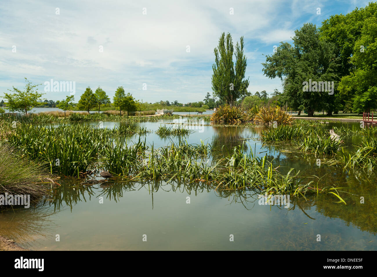 Lake Wendouree, Ballarat, Victoria, Australia Foto Stock