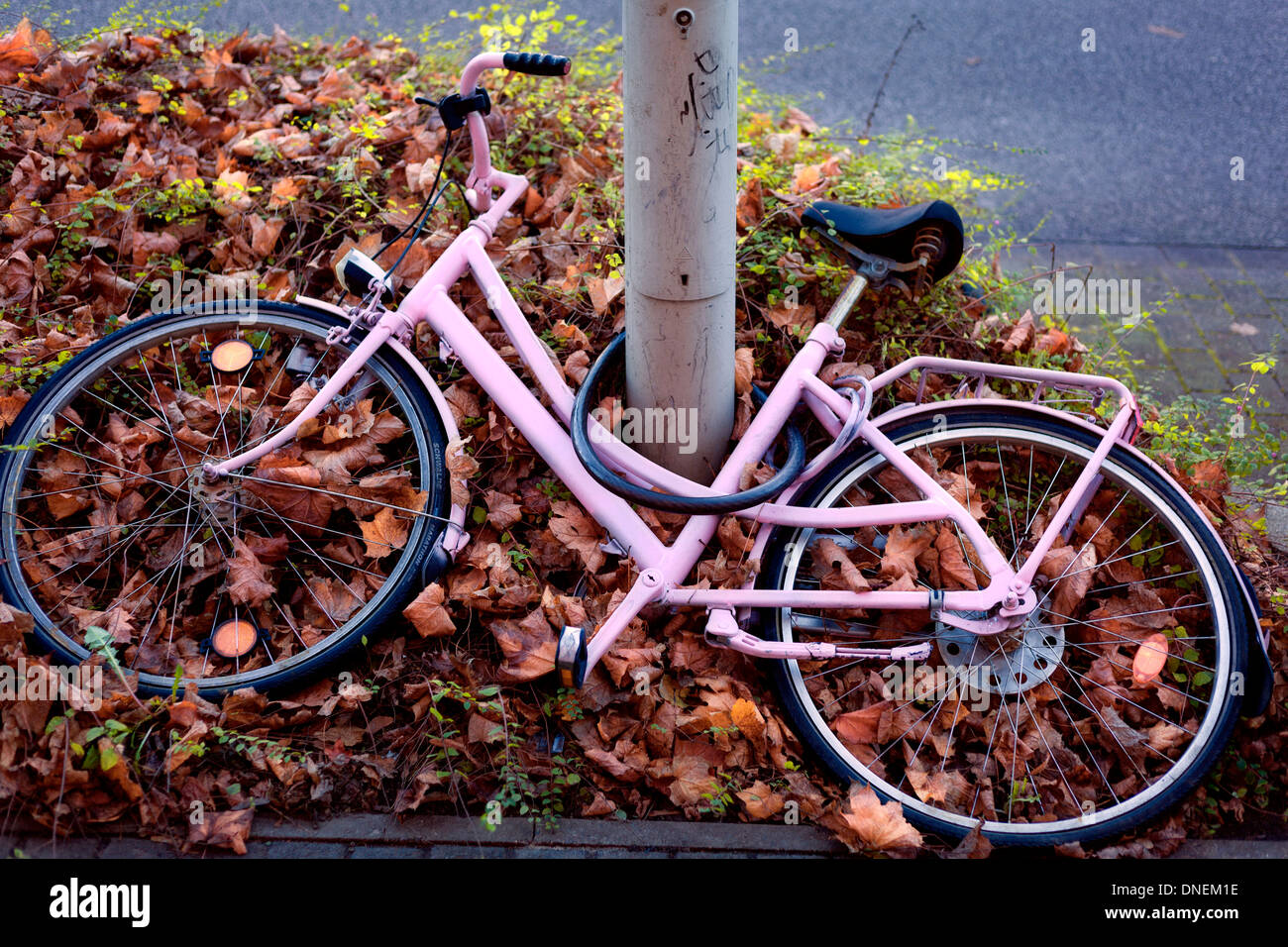 Vecchia bicicletta rosa Foto Stock