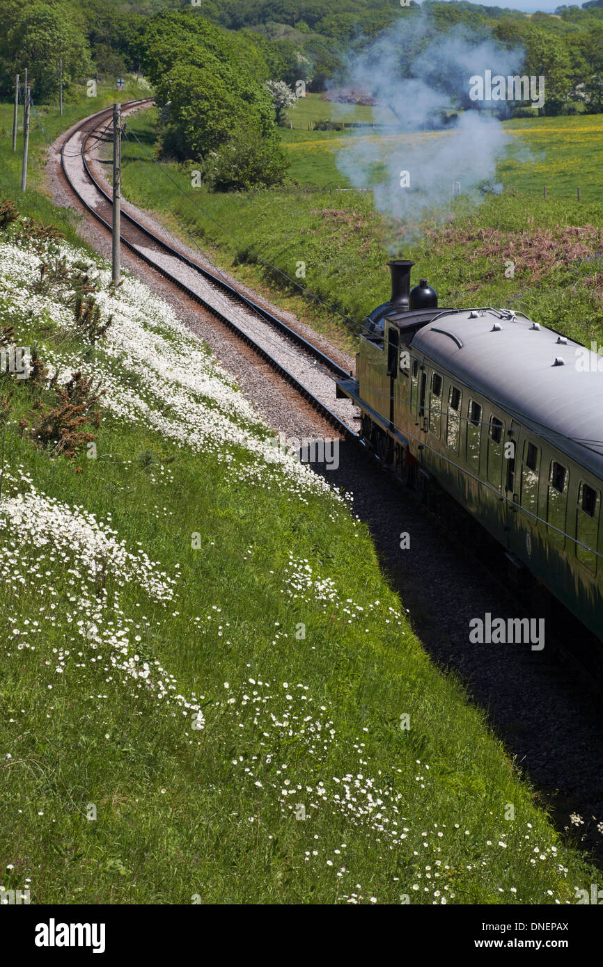 Treno a vapore che viaggia attraverso la bellissima campagna del Dorset in Maggio Foto Stock