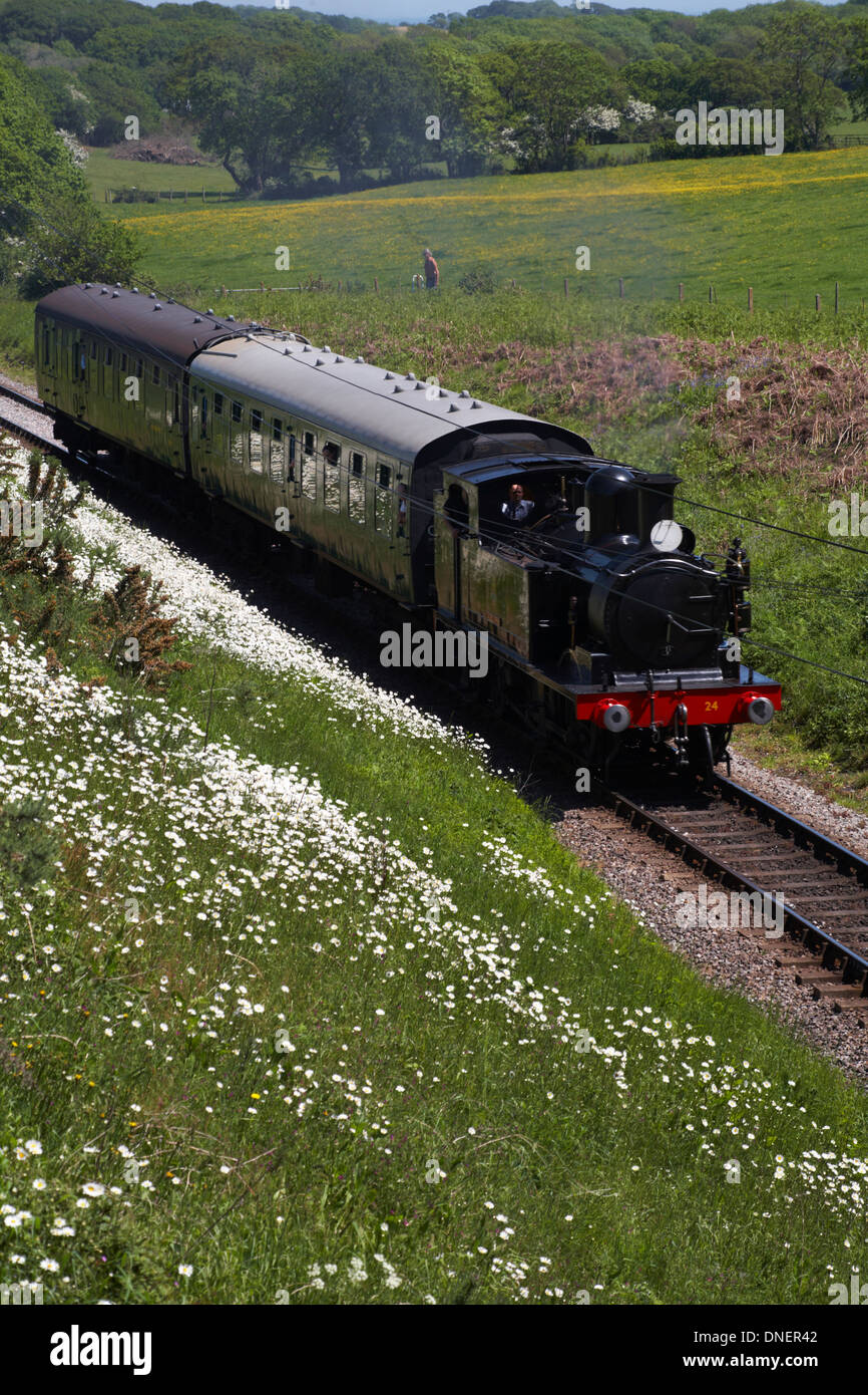 Treno a vapore che viaggia attraverso la bellissima campagna del Dorset in Maggio Foto Stock