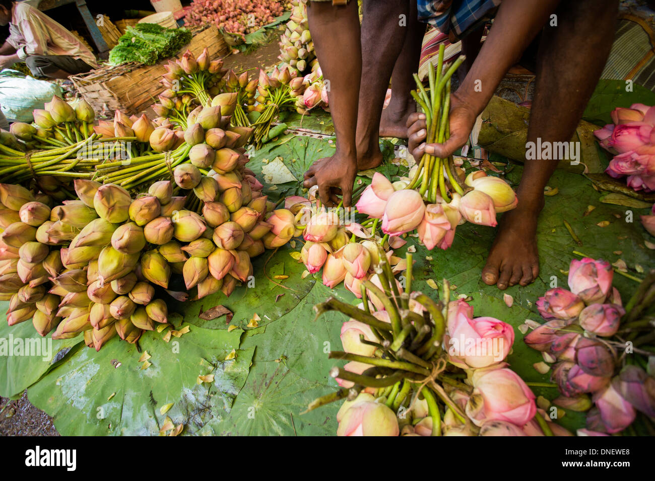 Mallick Ghat Il Mercato dei Fiori - Calcutta (Kolkata), India Foto Stock