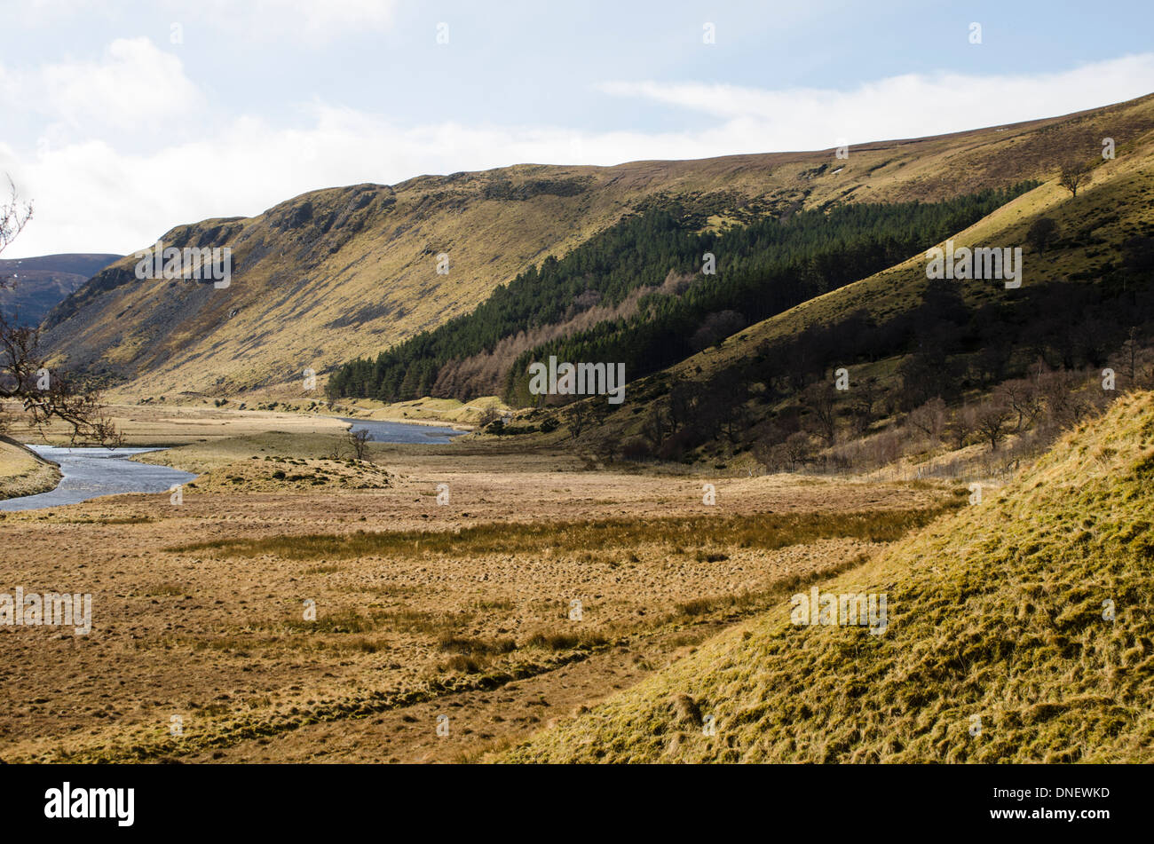 Paesaggio di Findhorn valle con la collina e il fiume in autunno. Foto Stock