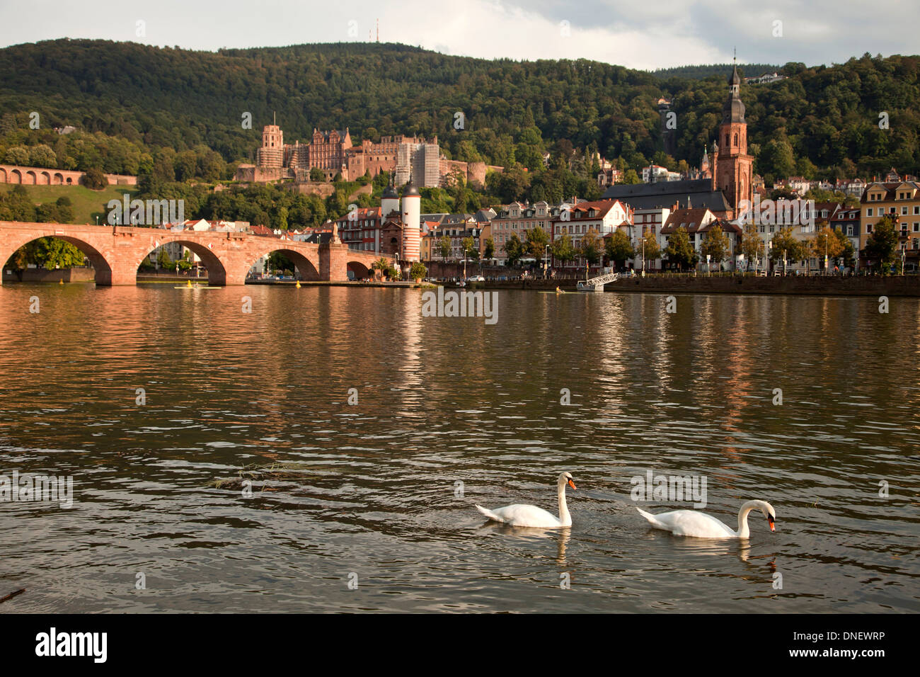 Egli del castello di Heidelberg, il Ponte Vecchio e il fiume Neckar a Heidelberg, Baden-Württemberg, Germania Foto Stock