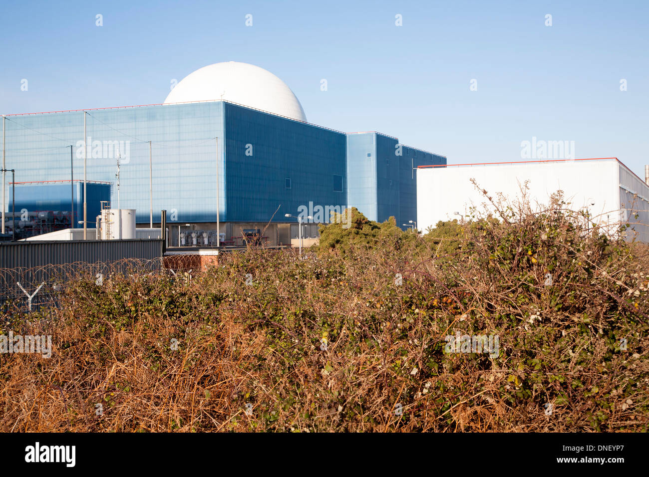 Cupola di colore bianco di PWR centrale nucleare di Sizewell B vicino a Leiston, Suffolk, Inghilterra Foto Stock