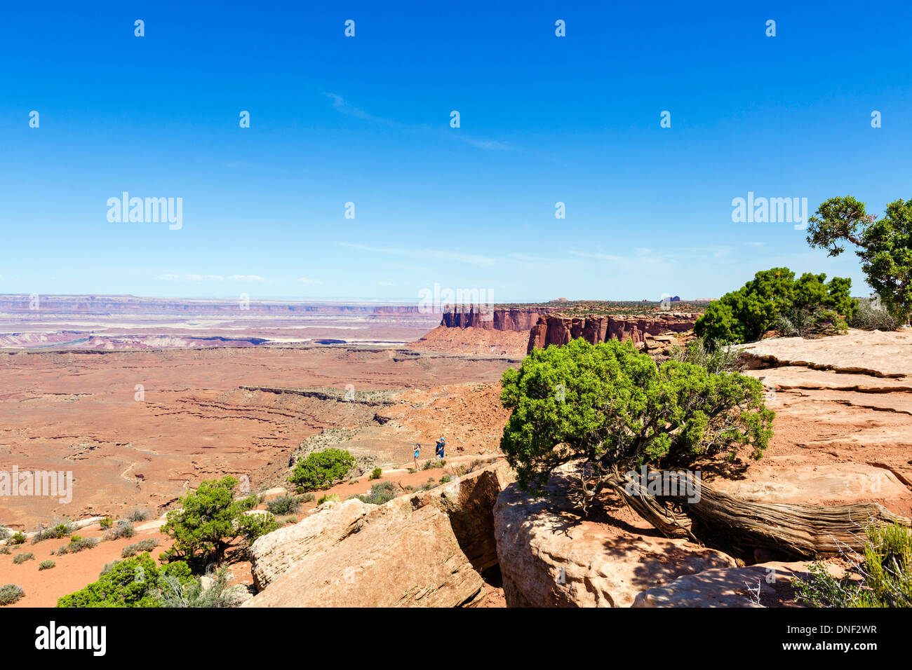 Grand View Point, Island in the Sky, il Parco Nazionale di Canyonlands, Utah, Stati Uniti d'America Foto Stock