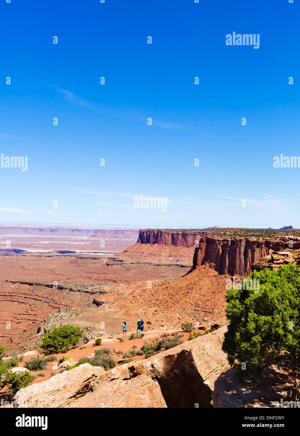Grand View Point, Island in the Sky, il Parco Nazionale di Canyonlands, Utah, Stati Uniti d'America Foto Stock