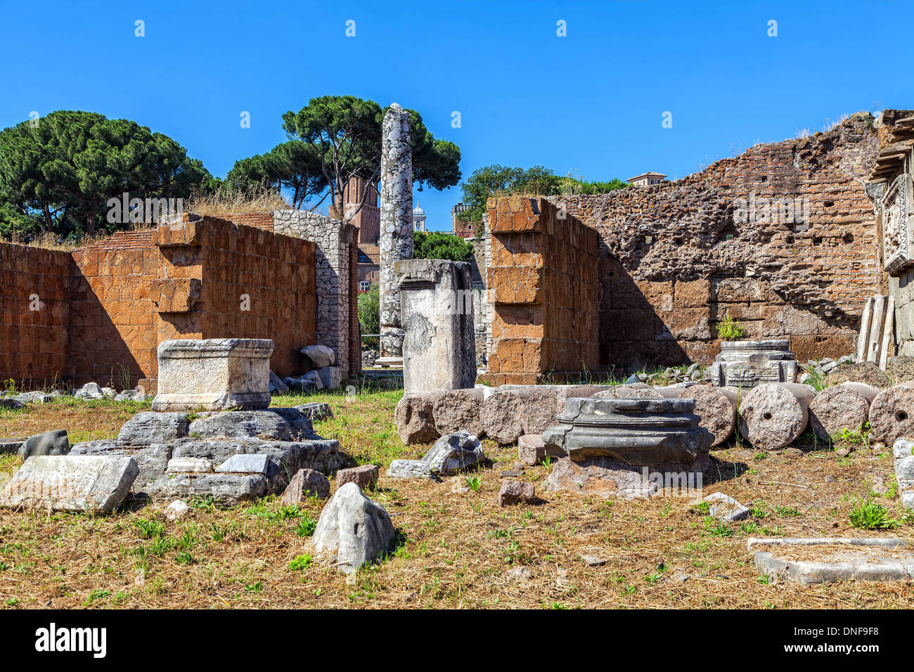 Le rovine del Foro Romano a Roma Foto Stock