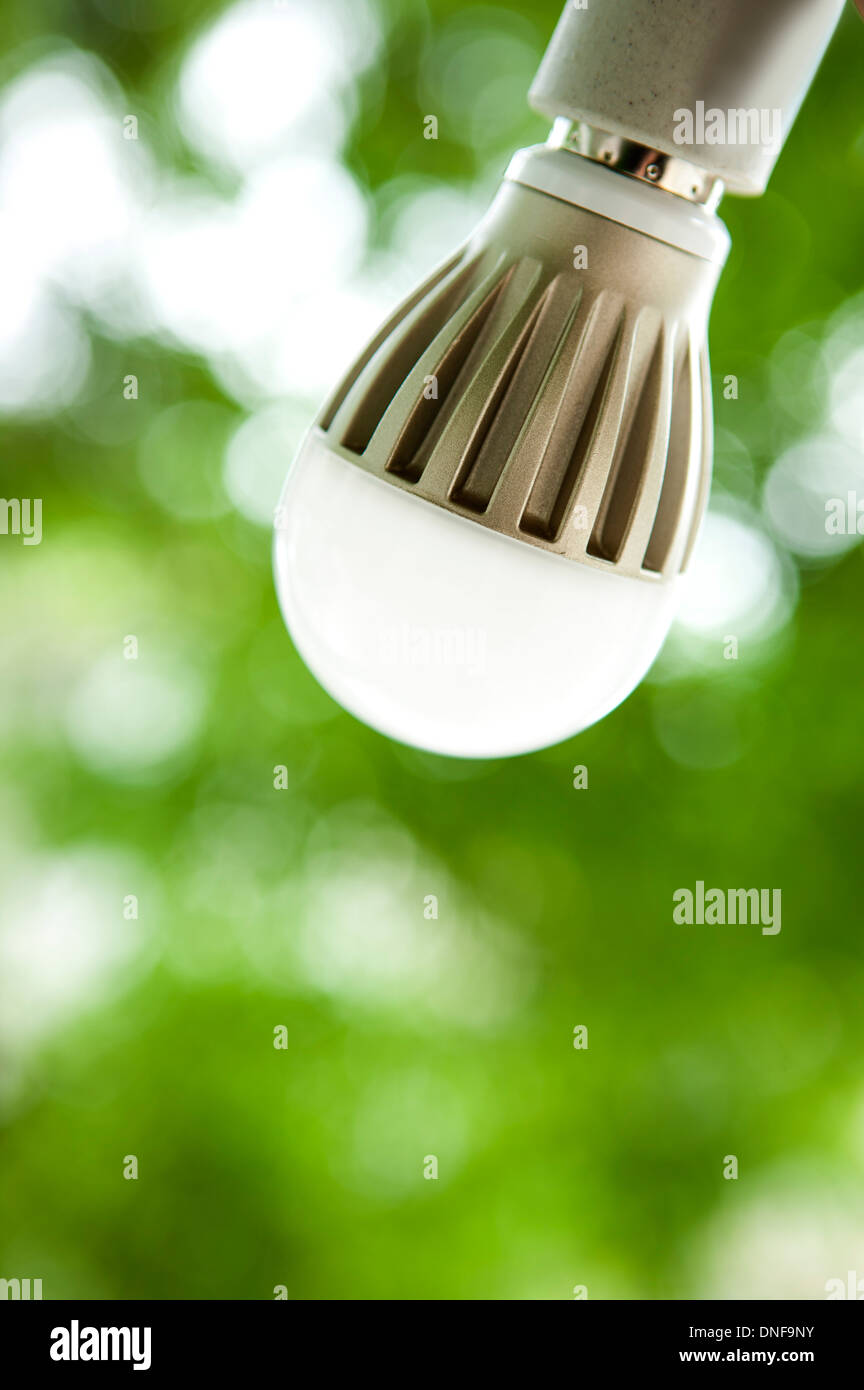 La lampadina della luce verde su sfondo sfocato Foto Stock