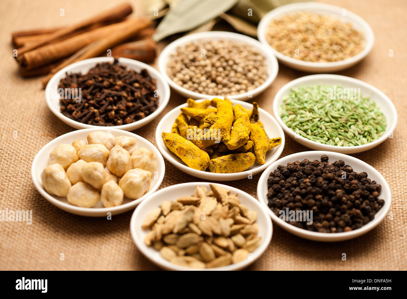 Spice, Curcuma, ceci, chiodo di garofano, Peppe nero, Finocchio, cannella, Peppe bianco, fagioli, cardamomo, foglie di alloro Foto Stock