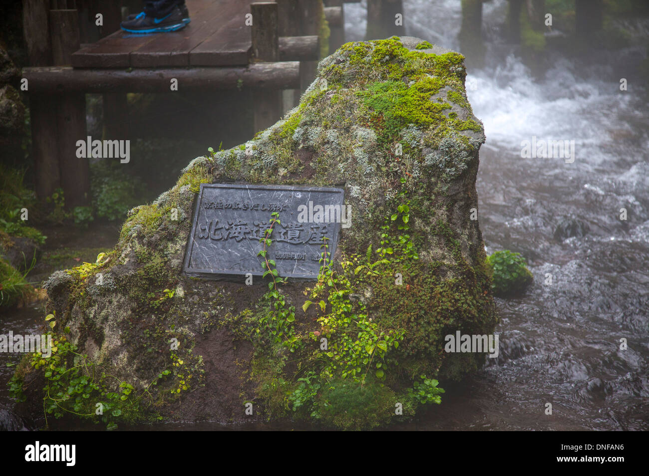 Hokkaido, Giappone, Asia Foto Stock