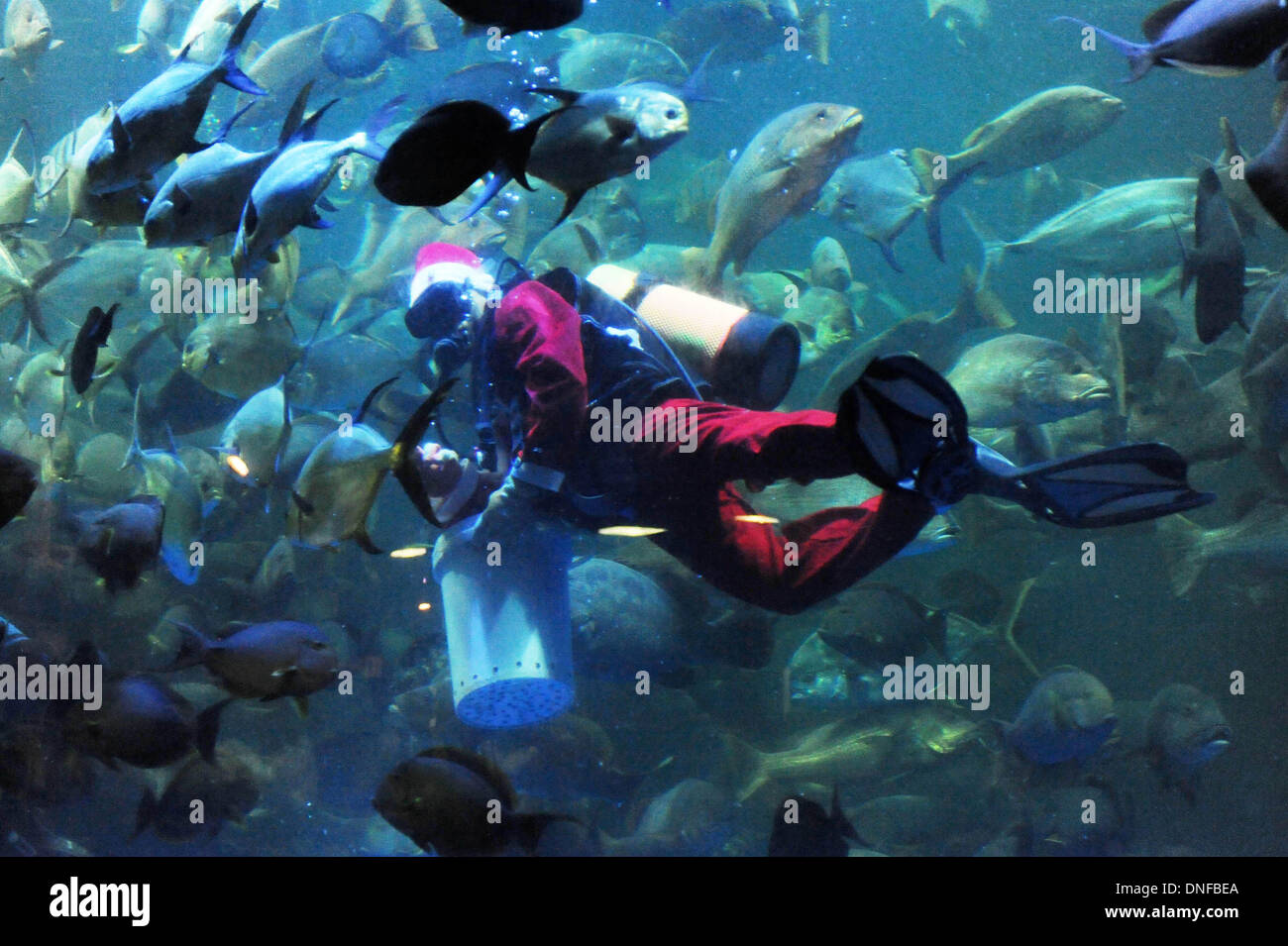 Fish costume immagini e fotografie stock ad alta risoluzione - Alamy