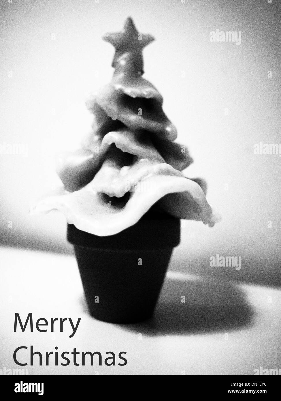 Buon Natale con albero con stella Foto Stock