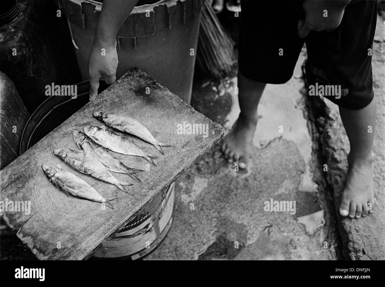 Manila, Filippine: Pesci secchi preparati da un uomo che vive a Manila il cimitero del Nord Foto Stock