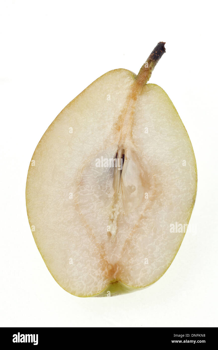 Semi di pera isolati su sfondo bianco Foto Stock