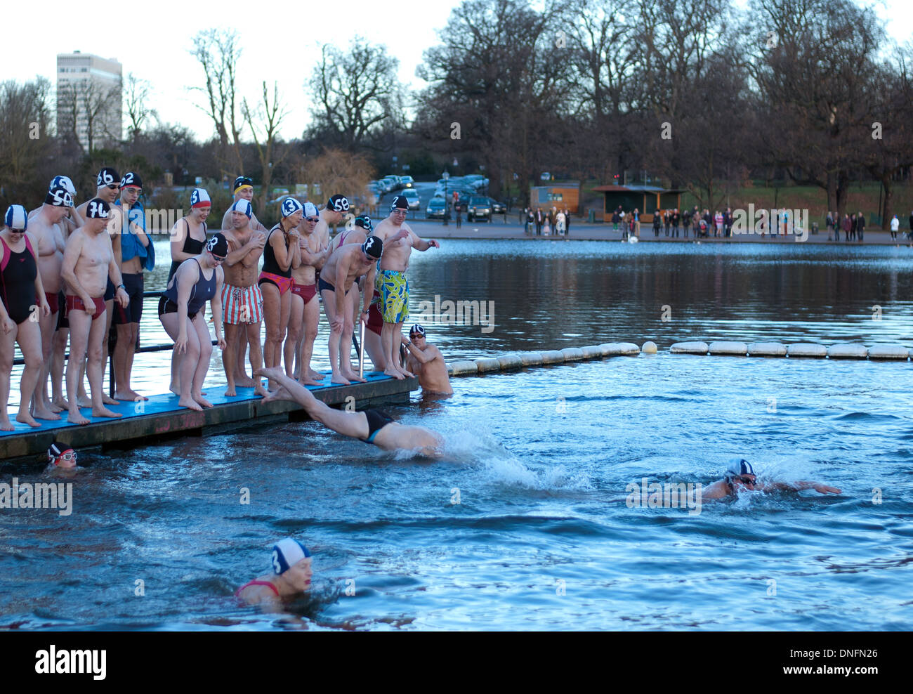 Membri della serpentina del club di nuoto facendo un tuffo nelle gelide acque a serpentina durante l annuale del giorno di Natale nuotare Foto Stock