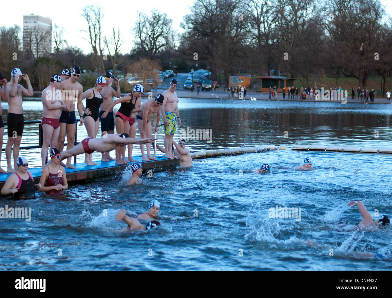 Membri della serpentina del club di nuoto facendo un tuffo nelle gelide acque a serpentina durante l annuale del giorno di Natale nuotare Foto Stock