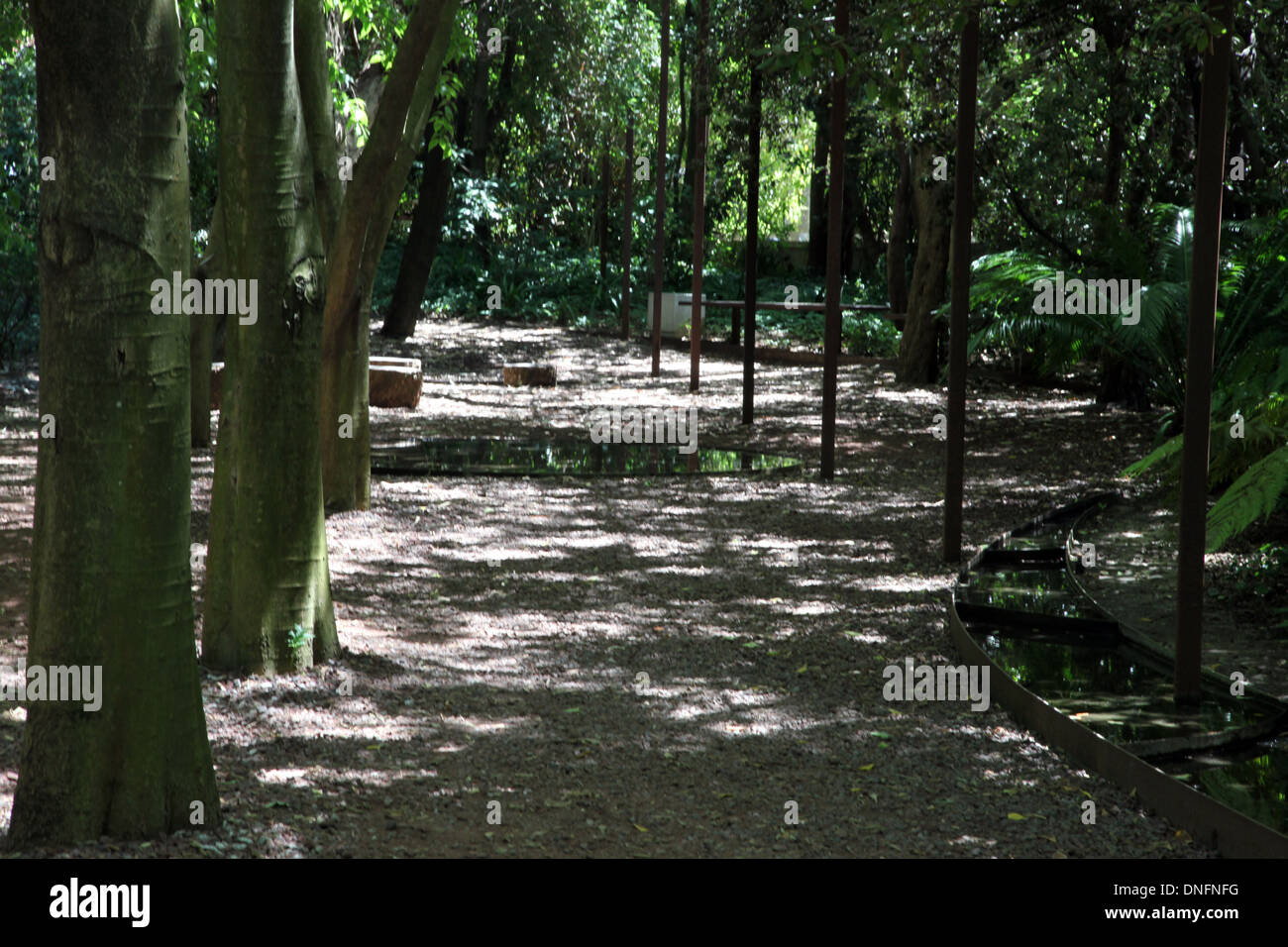 Giardino della Fondazione Calouste Gulbenkian, Lisbona Foto Stock
