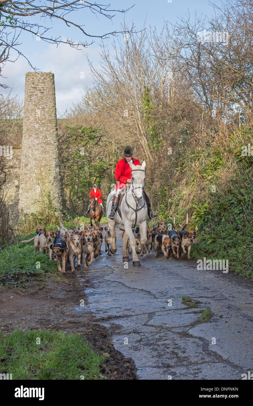 Cury suoneria throughcountryside galoppo su Penrose station wagon dopo la loro Boxing Day si incontrano a Helston, Cornwall Alamy/Bob Sharples Foto Stock