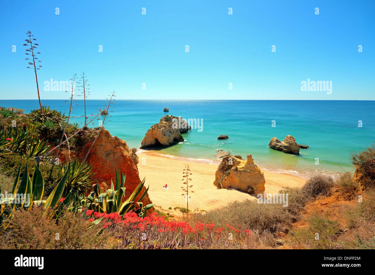 Praia da Rocha in Algarve Portogallo Foto Stock