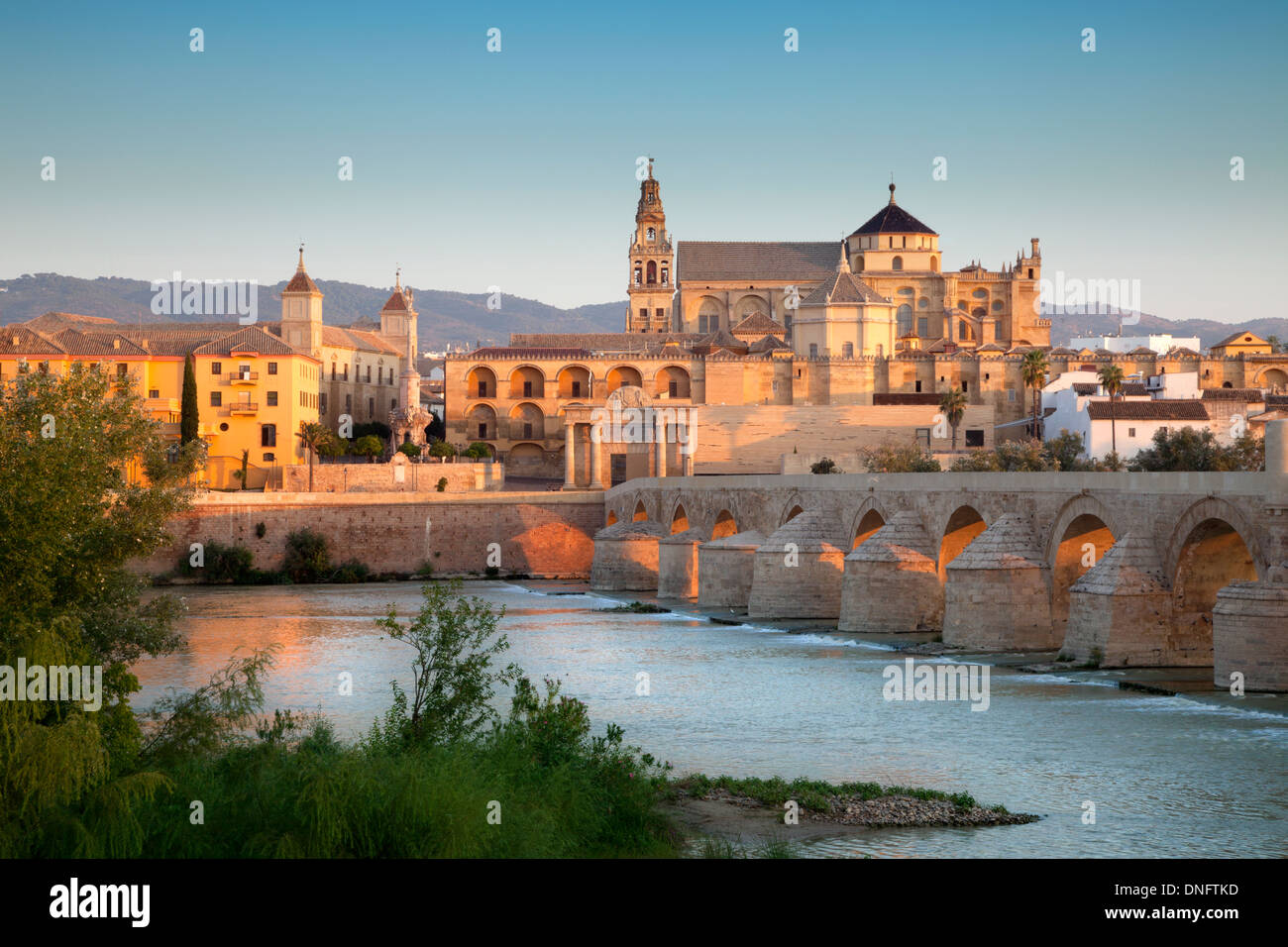 Cattedrale Mezquita di Cordova, Spagna Foto Stock