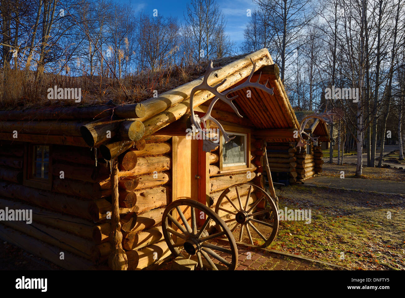 Log Cabin con tetto di sod e Caribou Coffee Company palchi a chena hot springs resort alaska usa Foto Stock