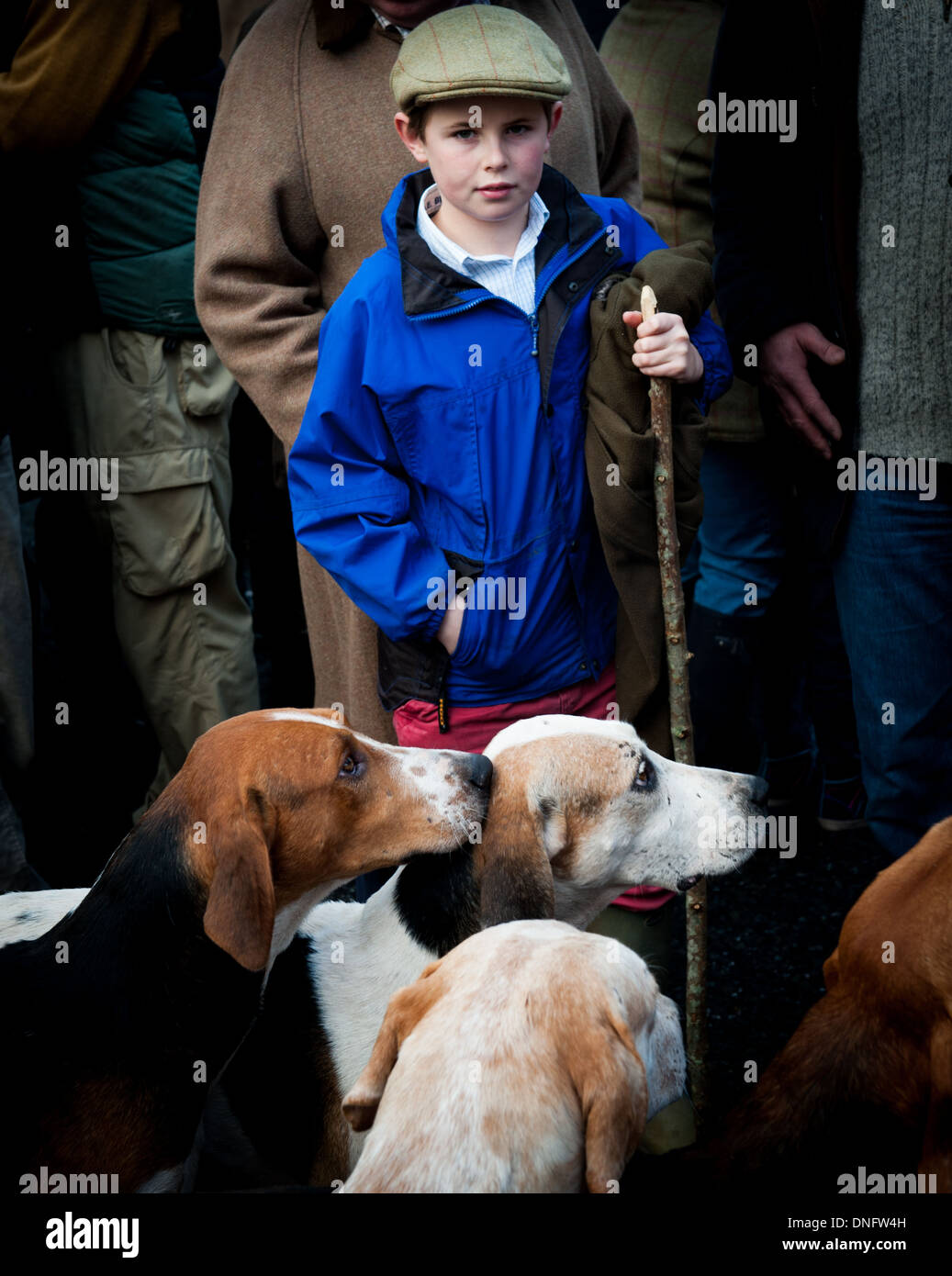 Ragazzo e 3 foxhounds a Boxing Day Heythrop Hunt 2013, Chipping Norton, Cotswolds,UK,Inghilterra Foto Stock