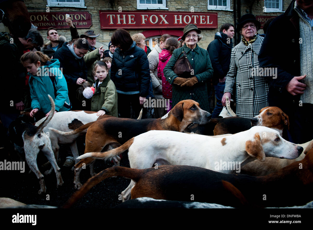 Donna che guarda alla telecamera a Fox Hotel con l'inglese Foxhounds Chipping Norton, Heythrop Hunt, UK, Boxing Day,26/12/2013 Foto Stock
