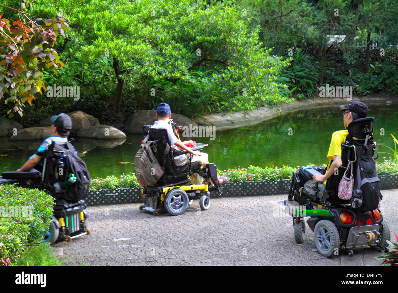 Hong Kong Cina, Hong Kong, Asia, cinese, orientale, isola, centrale, Hong Kong Park, paesaggio, alberi, stagno, uomo asiatico maschio, sedia a rotelle elettrica, handicap disabili Foto Stock