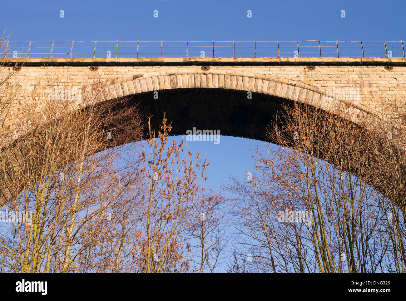 Arco del viadotto di Victoria Vittoriano ponte ferroviario sul fiume usura in Washington, North East England, Regno Unito Foto Stock