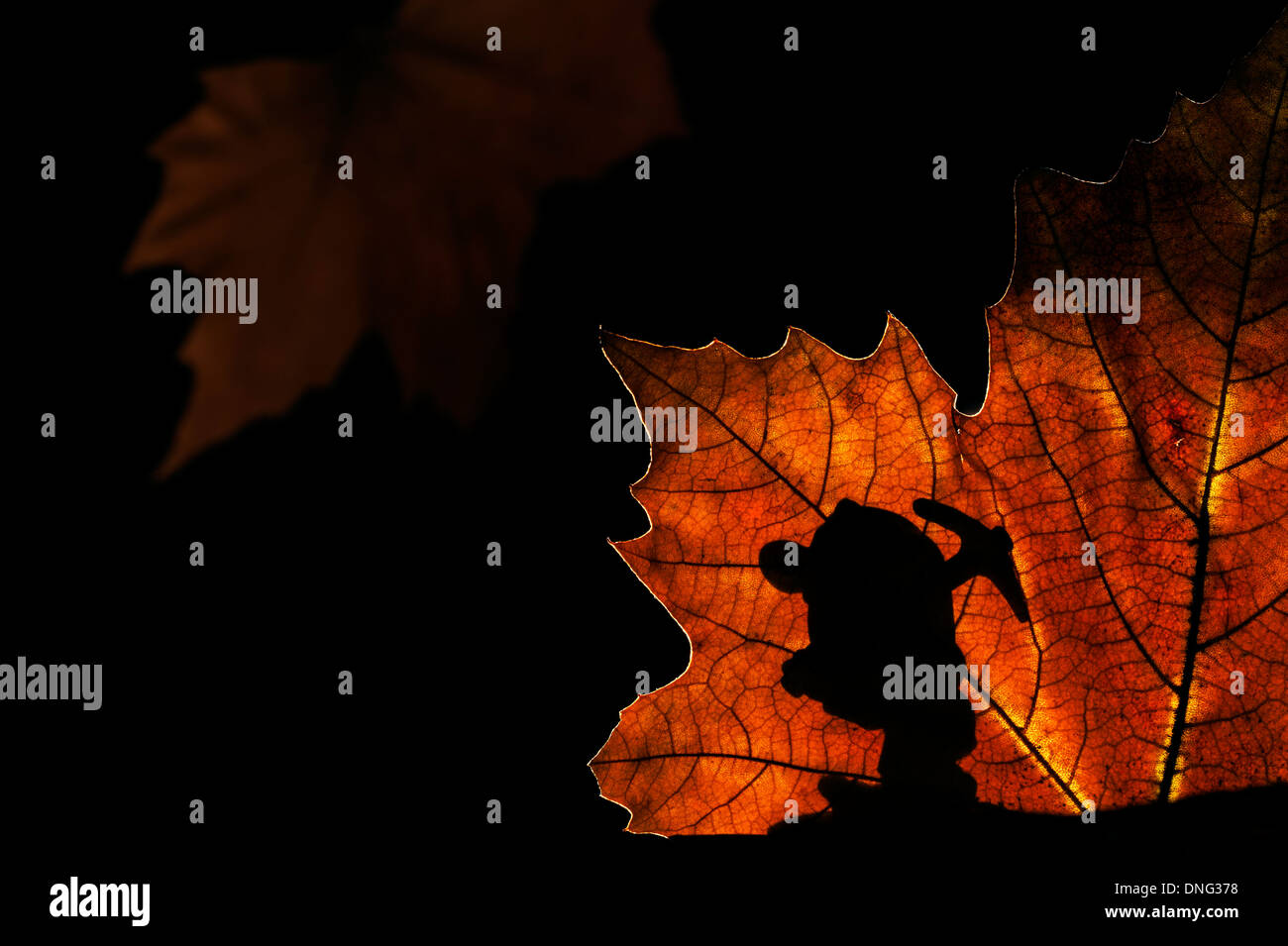 Silhouette di fiaba dwarf / gnome con piccone stagliano autumn leaf mentre marcia in fairy come foresta di notte Foto Stock
