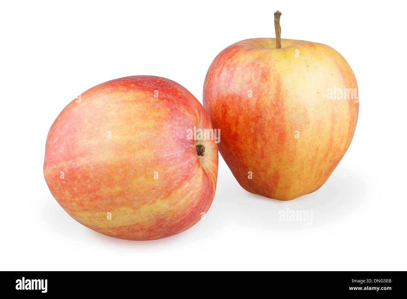 Due mele isolato su bianco Foto Stock