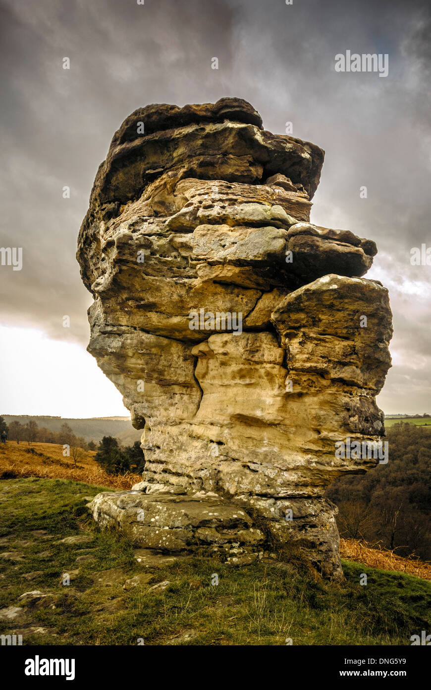 Pepper pot, su dei Bridestones, Dalby Forest, North Yorkshire, Regno Unito. Foto Stock