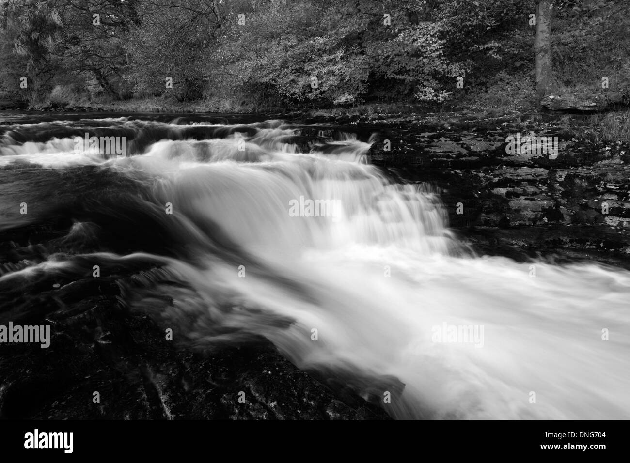 In autunno, Stainforth vigore cascate, fiume Ribble, Yorkshire Dales National Park, England, Regno Unito Foto Stock