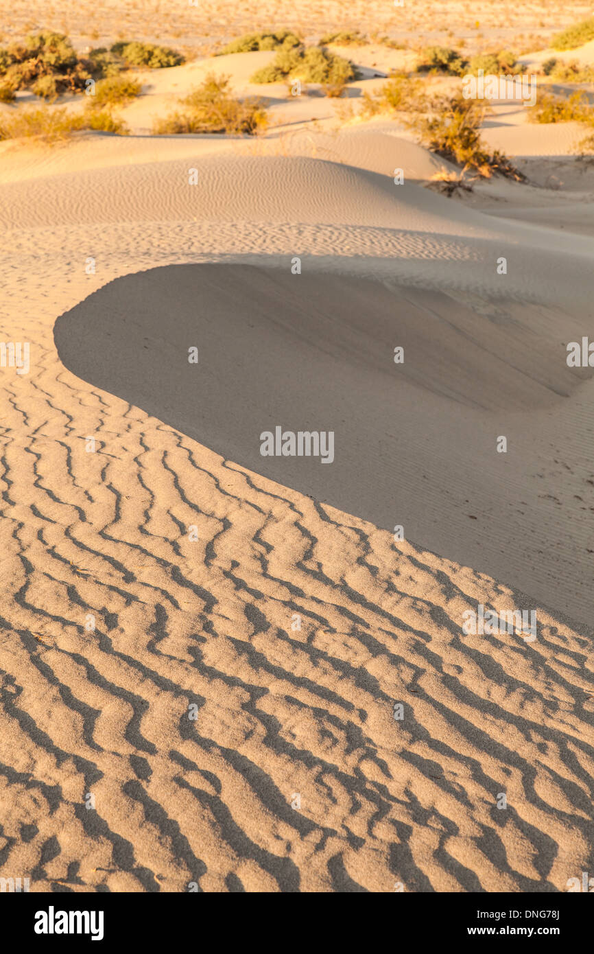 Le dune di sabbia di Mesquite piatto nella Valle della Morte nel deserto - California Foto Stock