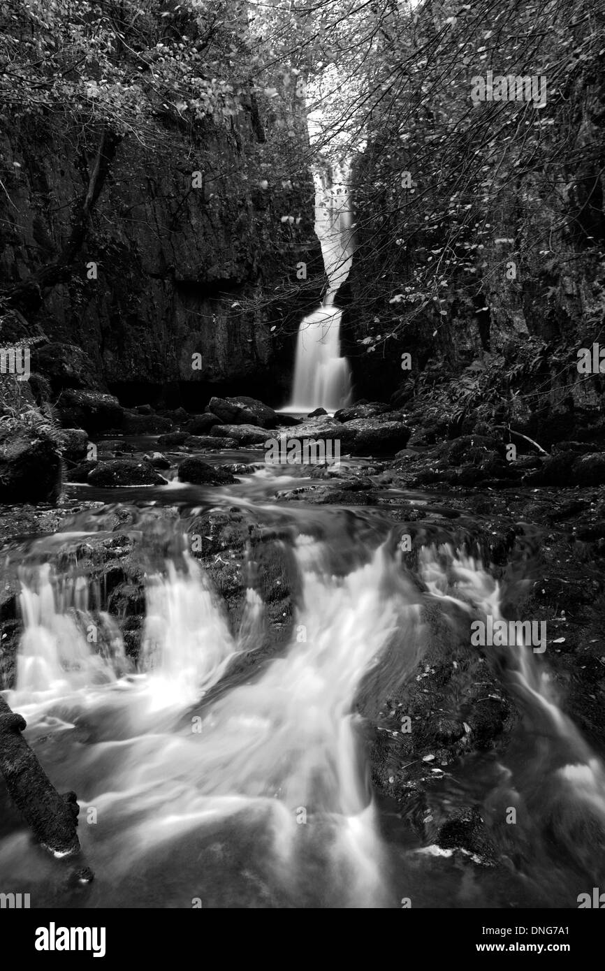 Autunno forza Catrigg cascata, villaggio Stainforth, fiume Ribble, Yorkshire Dales National Park, England, Regno Unito Foto Stock