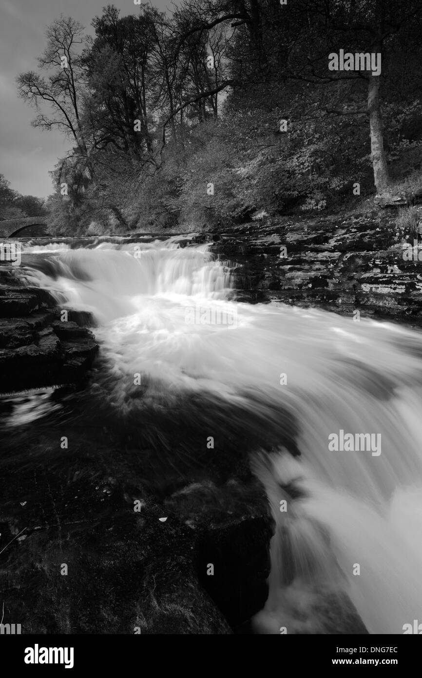In autunno, Stainforth vigore cascate, fiume Ribble, Yorkshire Dales National Park, England, Regno Unito Foto Stock